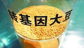 金龍魚陷轉(zhuǎn)基因門風波 專家稱安全性尚無定論，對酒類經(jīng)營有何啟示？